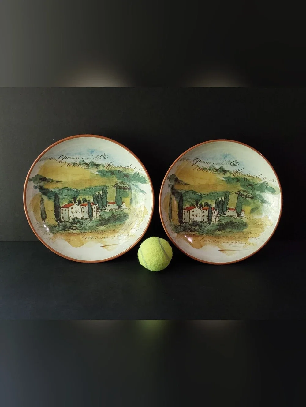 NEW Williams-Sonoma PAYSAGE SOUP/PASTA Bowls (2) 10